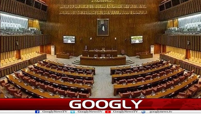 senat 2