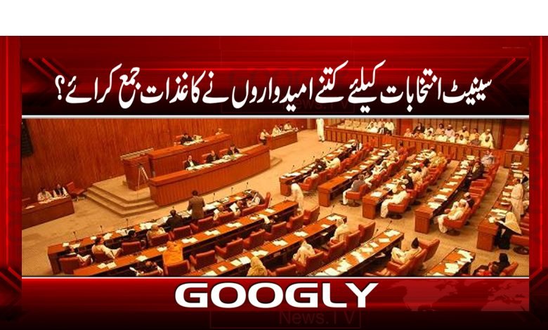 senat 5