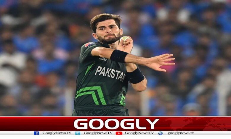 شاہین شاہ آفریدی نے نائب کپتانی کی آفر ٹھکرادی 1 Shaheen Shah Afridi News in Urdu