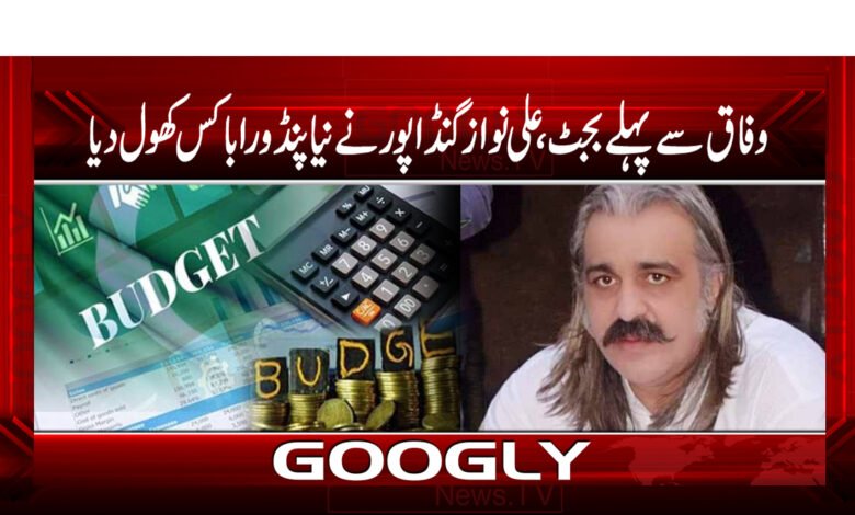 وفاق سے پہلے بجٹ،علی نوازگنڈاپور نے نیا پنڈوراباکس کھول دیا 1 ali bapm 2