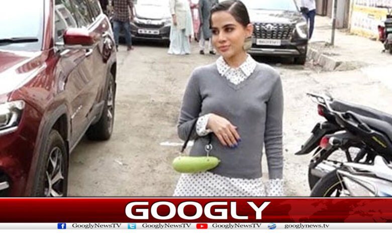 عرفی جاوید نے سبزی ”لوکی“کا ہی بیگ بنالیا 1 irfi 2