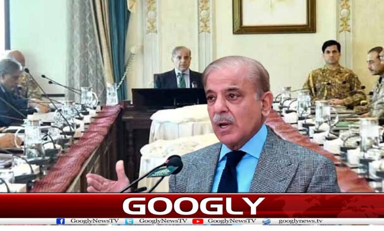 ملک میں سرمایہ کاری عسکری قیادت کی وجہ سے آئی، شہباز شریف 1 website Pic 6