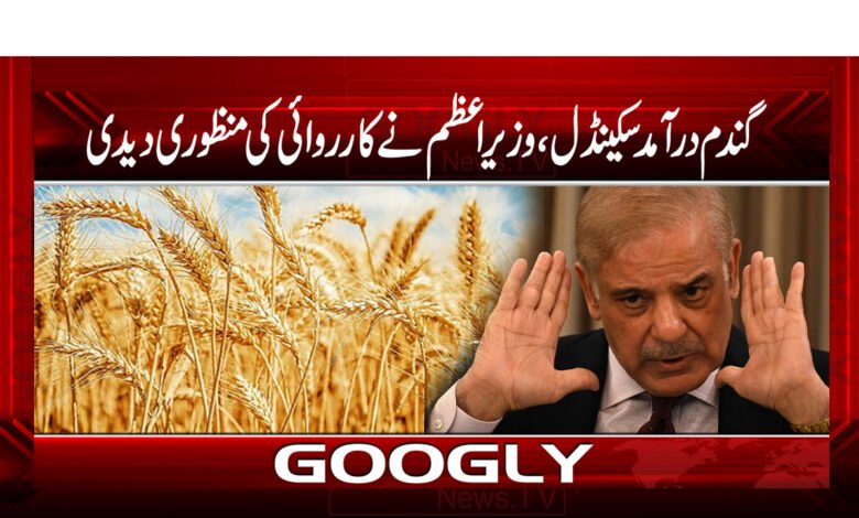 گندم درآمد اسکینڈل: وزیراعظم نے کارروائی کی منظوری دیدی 1 whaet shbaz