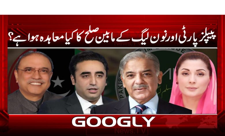 19 پیپلز پارٹی اور نون لیگ کے مابین صلح کا کیا معاہدہ ہوا ہے