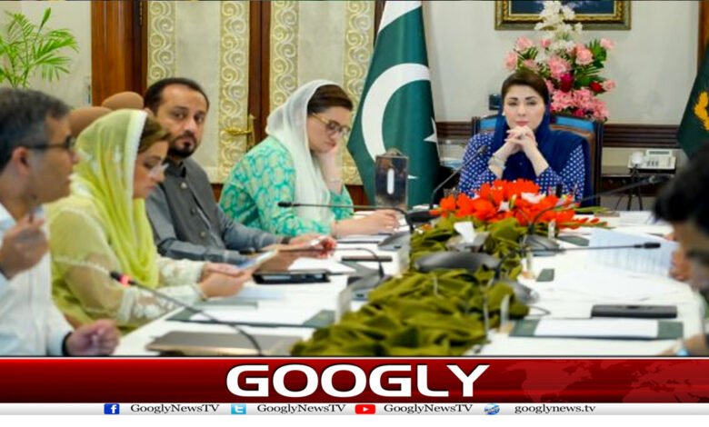 26 پنجاب حکومت نے پنجاب میں پہلا پبلک سیکٹر