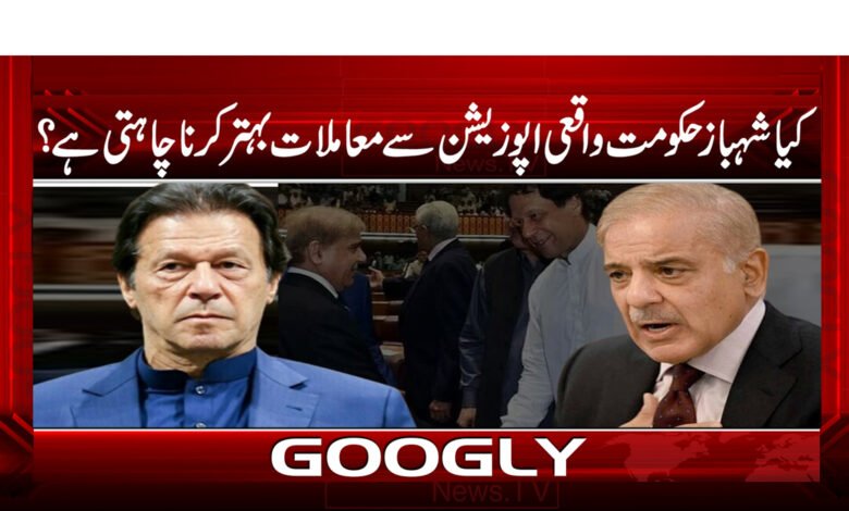 PMLN News in Urdu