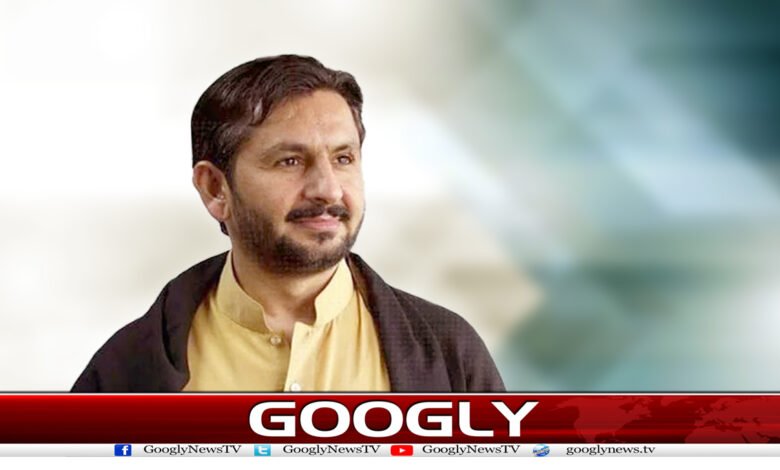 Saleem Safi Famous Column in Urdu