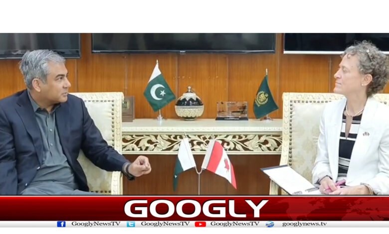 Mohsin Naqvi News in Urdu