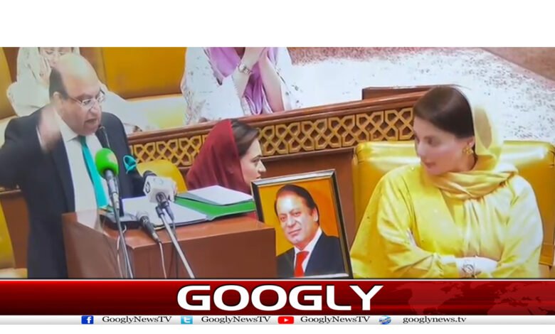 Punjab Assembly News in Urdu