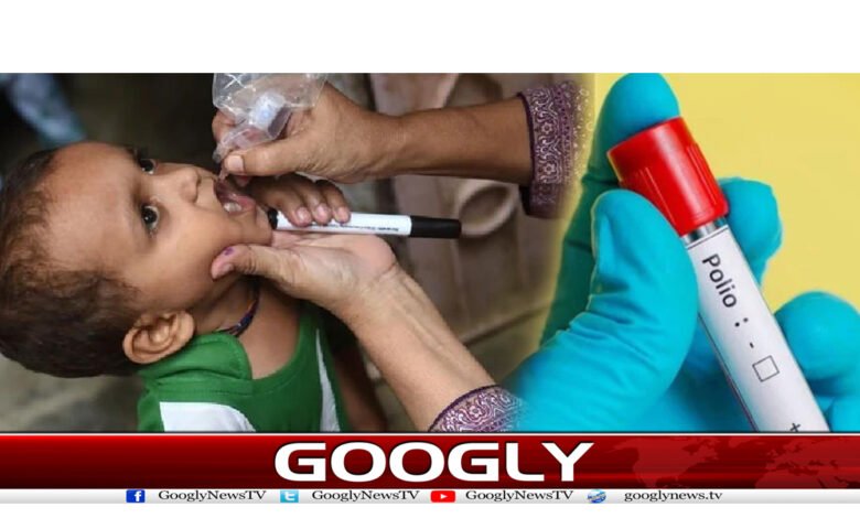 Poliovirus News in Urdu