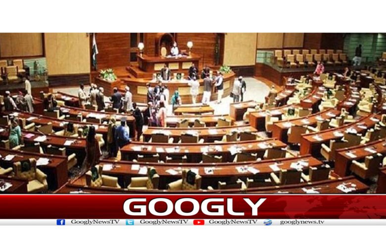 PPP News in Urdu