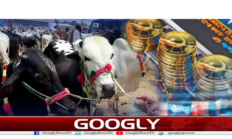 Eid-ul-Azha News in Urdu