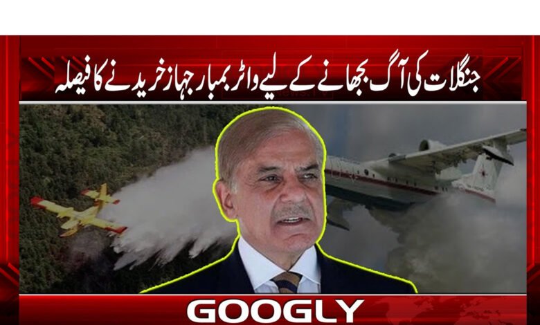 Forest Fires News in Urdu