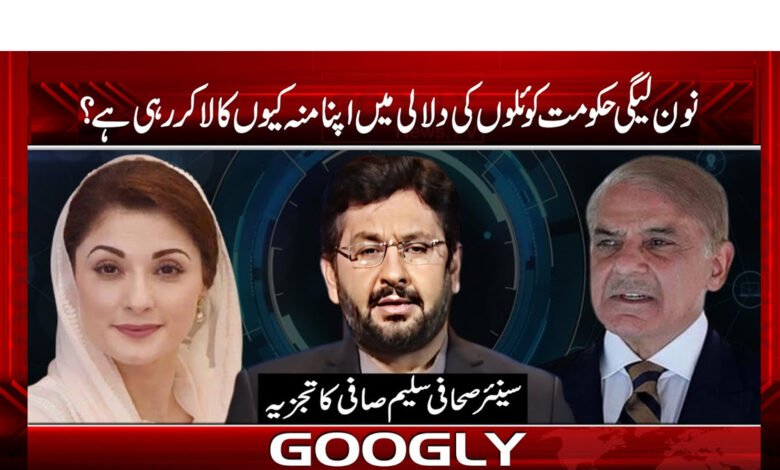 PMLN News in Urdu
