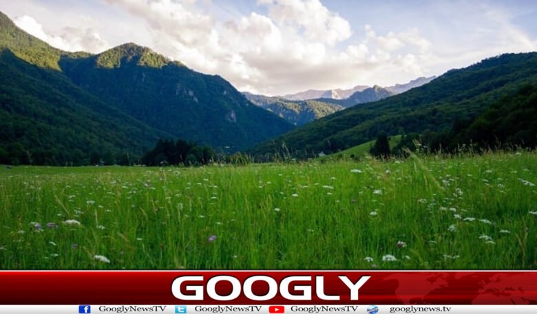 Benefits of Lush Views News in Urdu