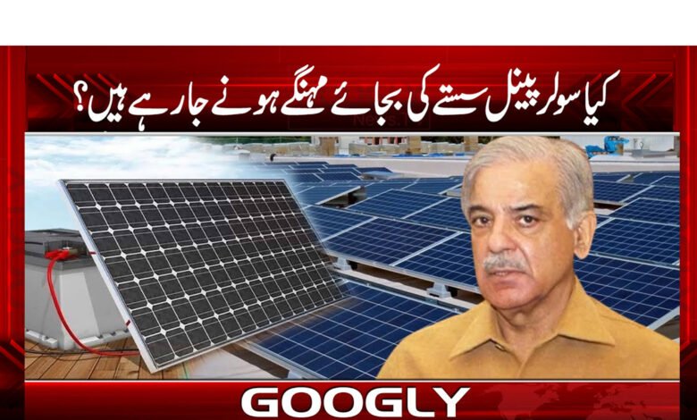 Muhammad Aurangzeb News in Urdu