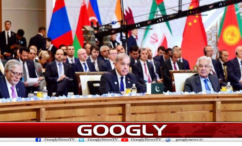 16 شنگھائی تعاون تنظیم فلسطین پر آواز اٹھائے اسرائیل نے غزہ میں ظلم کے پہاڑ توڑے ہیں شہباز شریف