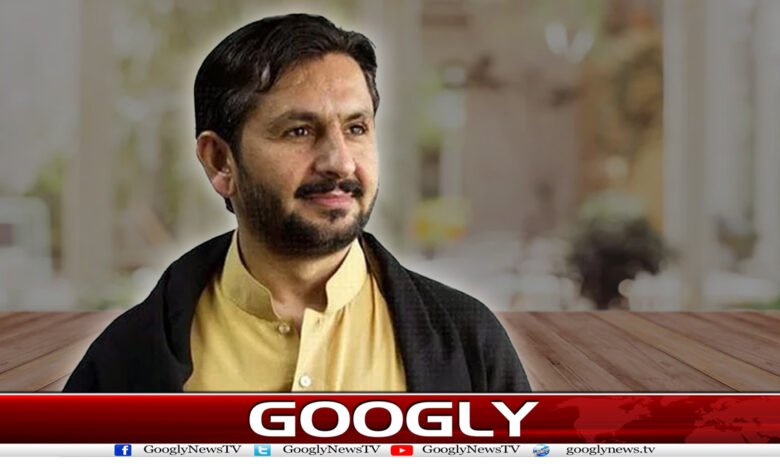 Saleem Safi Famous Column In Urdu