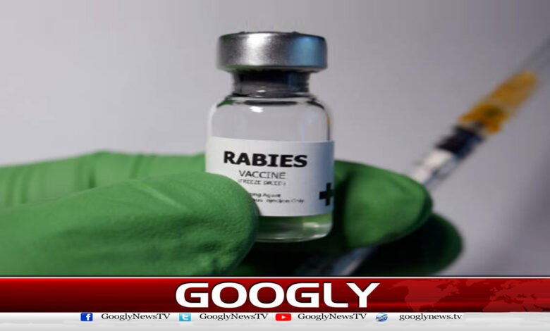 پشاور : طبی مراکز میں کتے کے کاٹے کی ویکسین ناپید ہوگئی - Peshawar: Dog bite vaccine has disappeared in medical centers urdu news