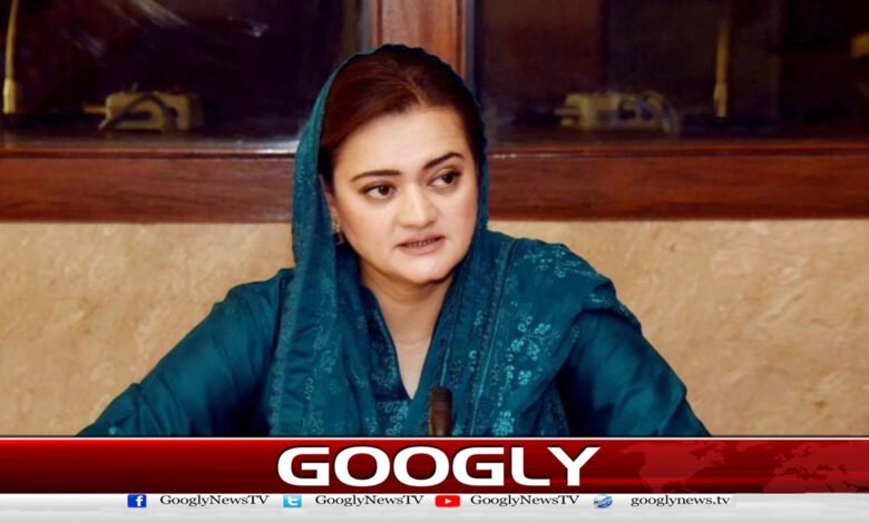 حکومت پنجاب نے بجلی صارفین کو ملنے والے ریلیف کی تفصیلات جاری کردیں - The Punjab government has released the details of the relief given to the electricity consumers