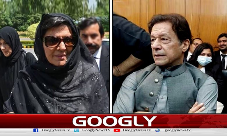 علیمہ خان کا عمران خان کی رہائی کےلیے خود مہم چلانے کااعلان - Aleema Khan's announcement of her own campaign for the release of Imran Khan urdu news