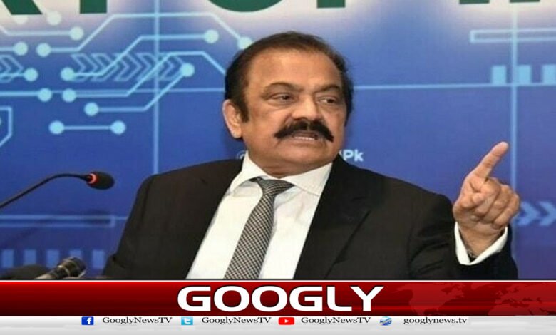 پارلیمنٹ جوقانون بنائے گی عدالتوں کو اسی کےمطابق فیصلہ کرنا ہوگا: رانا ثناء اللّٰہ - Courts have to give decisions according to the law that Parliament will make urdu news