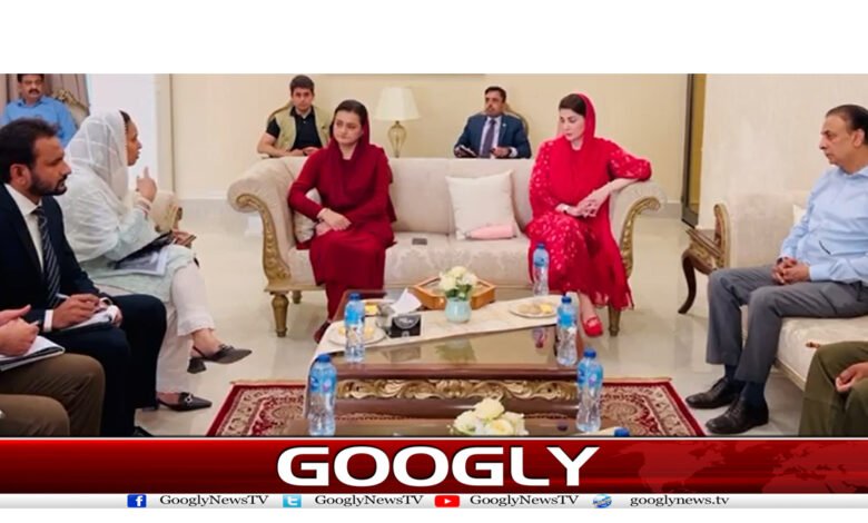 مریم نواز کا ملتان ڈویژن میں صفائی کی شکایات حل کرنیکاحکم 1 maim22