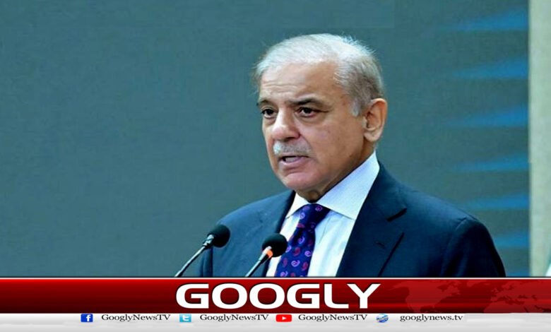 سرائیل پر تجارت اور اسلحہ سمیت دیگر پابندیاں لگانےکا وقت ہے : وزیر اعظم شہباز شریف - It's time to impose trade and arms restrictions on Israel: Prime Minister Shehbaz Sharif