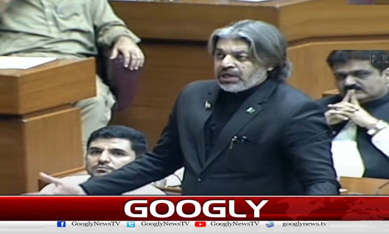 پارلیمنٹ پر دھاوا وفاقی حکومت کی اجازت سے ہی ہوا : علی محمد خان - The attack on Parliament took place only with the permission of the federal government: Ali Muhammad Khan