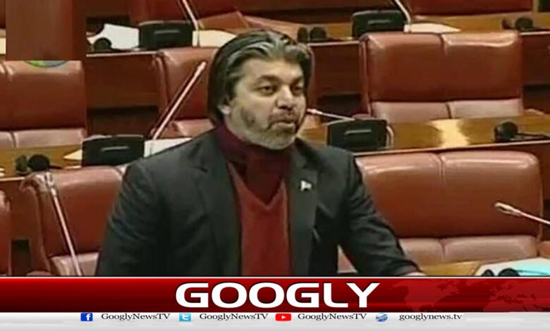 پارلیمنٹ کے اندر سے گرفتاریاں جمہوریت کا 9 مئی ہے : علی محمد خان - Arrests from inside the parliament is the 9th of democracy: Ali Muhammad Khan