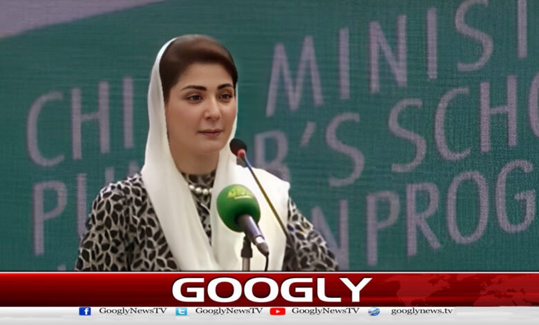 ہم اچھی سیاست نہیں کریں گےتو ملک آگے نہیں بڑھےگا : وزیراعلیٰ پنجاب - If we do not do good politics, then the country will not move forward: CM Punjab