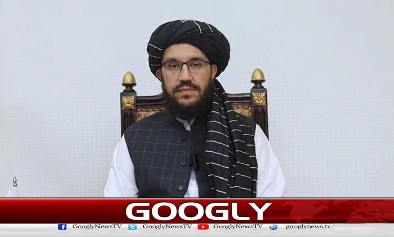 افغان حکومت کسی کو بھی پاکستان میں کارروائی کی اجازت نہیں دے گی : افغان ناظم الامور سردار احمد شکیب