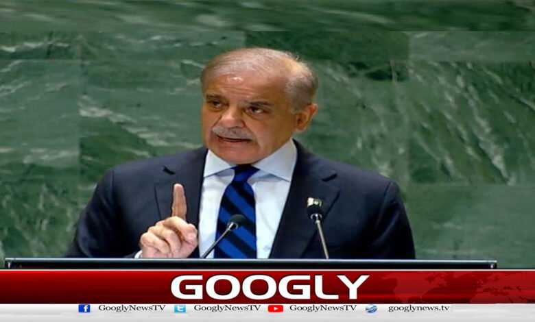 غزہ میں جاری مظالم کی صرف مذمت کافی نہیں :  وزیر اعظم شہباز شریف