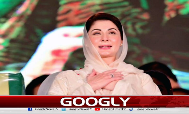 سیاسی مخالفت کو دشمنی میں بدلنے کے رجحان نے ملک کو نقصان پہنچایا : مریم نواز - The trend of turning political opposition into hostility has harmed the country: Maryam Nawaz