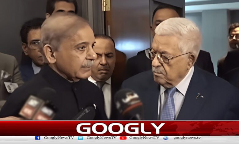 نیویارک میں وزیر اعظم شہباز شریف کی فلسطین کے صدر محمود عباس سے ملاقات