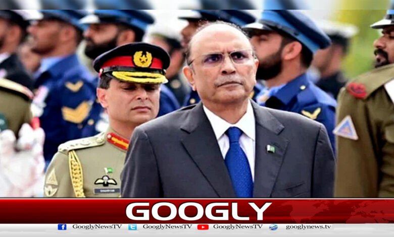 اسرائیل اور بھارت کی انسانی حقوق کی سنگین خلاف ورزیاں عالمی امن کےلیے خطرہ ہیں : صدر آصف علی زرداری - Serious violations of human rights by Israel and India are a threat to world peace: President Asif Ali Zardari