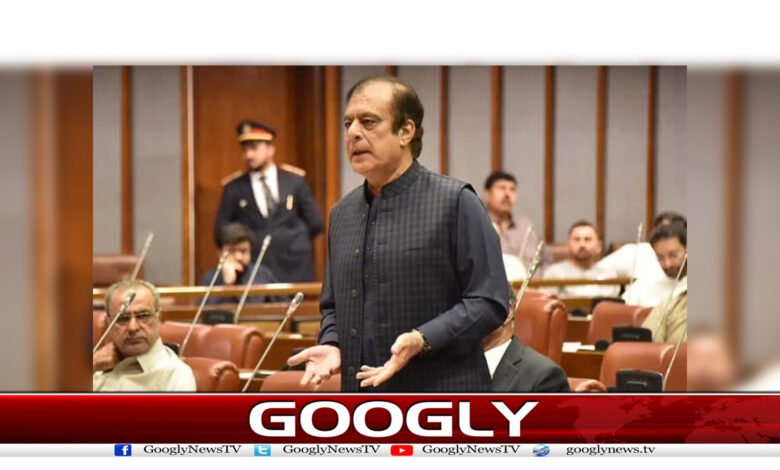 اسلام آباد کو کنٹینرسٹی بنانے پر شبلی فراز حکومت پربرس پڑے 1 shablisaa