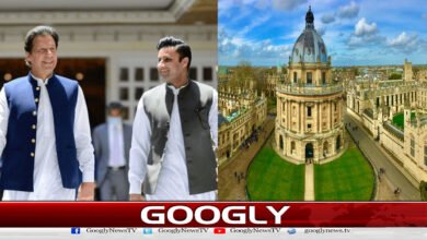 Oxford Chancellorship: Hire lobbying firms for Imran Khan, Zulfi Bukhari