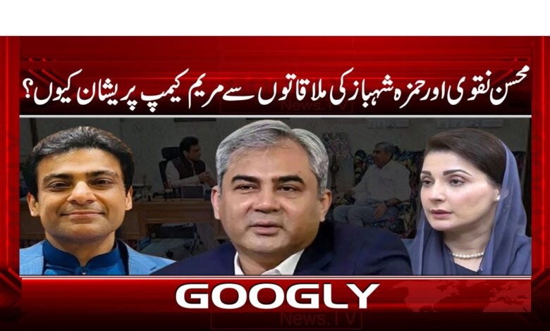 Why is Maryam Kemp worried about Mohsin Naqvi and Hamza Shehbaz's meetings?