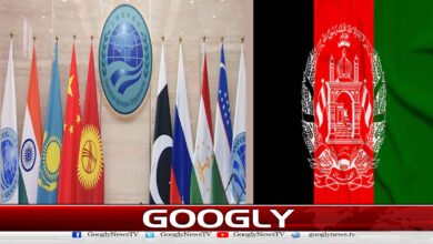 The reasons for Afghanistan's non-participation in the Shanghai Cooperation Organization meeting have been revealed