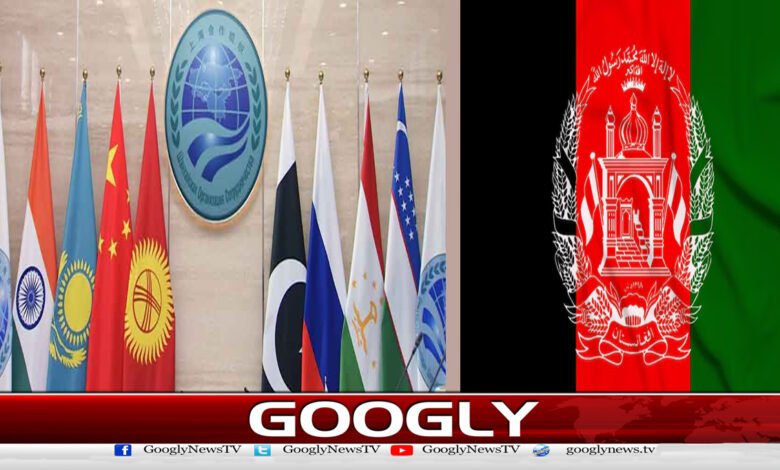 The reasons for Afghanistan's non-participation in the Shanghai Cooperation Organization meeting have been revealed