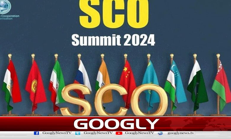 How much will it cost to organize the SCO conference?