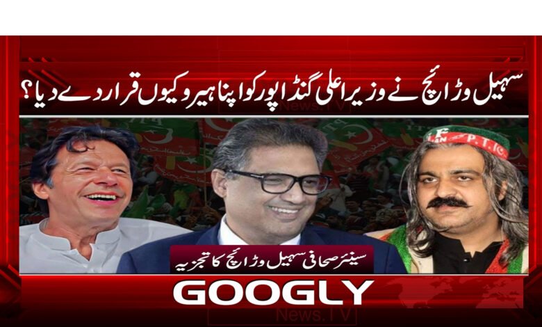 سہیل وڑائچ نے وزیراعلی گنڈاپور کو اپنا ہیرو کیوں قرار دے دیا؟