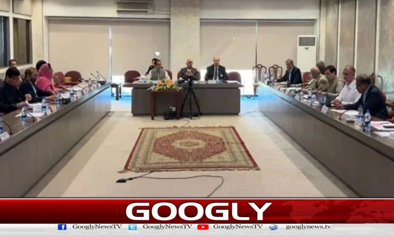 The Special Parliamentary Committee unanimously approved the draft constitution