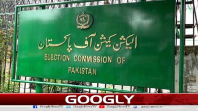 Constitutional amendment: Sufficient to formulate a new procedure for the appointment of the Chief Election Commissioner