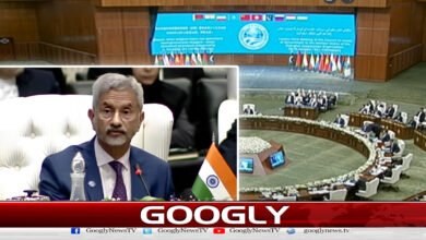 SCO Conference: World lags behind in achieving Sustainable Development Goals, Jaishankar