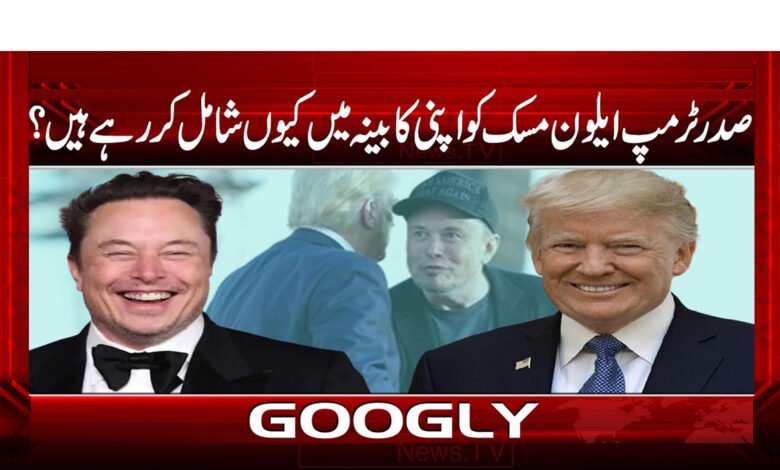 Why is President Trump adding Elon Musk to his cabinet?