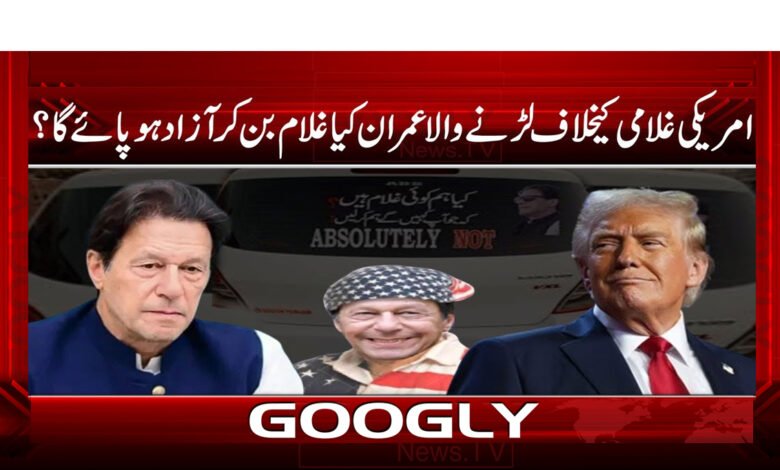 Will Imran, who fights against American slavery, become a slave and be free?