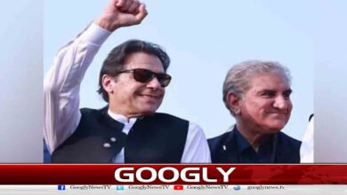 I stood and stand with Imran Khan: Shah Mehmood Qureshi