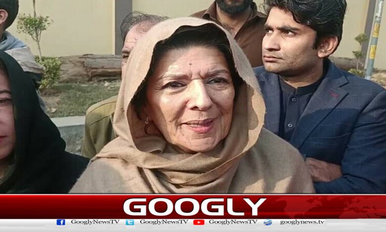 November 24 protest: Aleema Khan conveyed the important message of Imran Khan to the workers